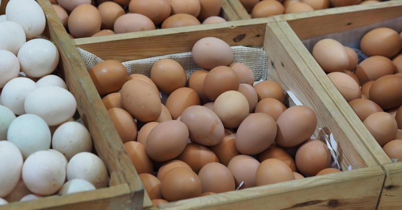 Határ a csillagokig: meddig szárnyalnak a tojásárak?