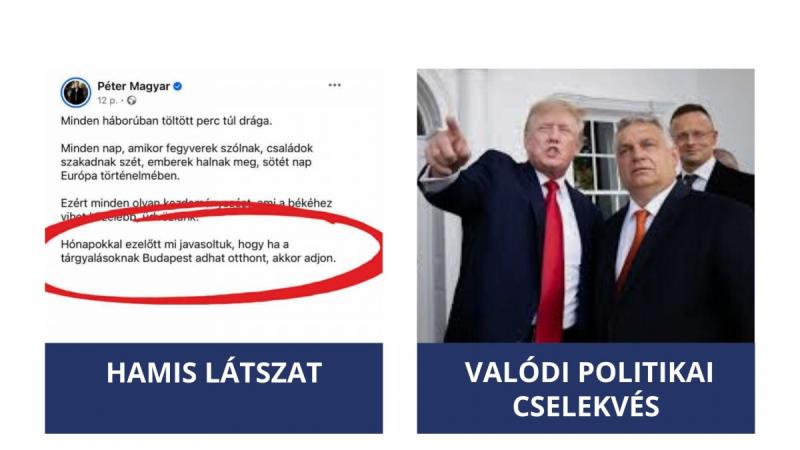 Politikai amnézia vagy mentális zűrzavar? Magyar Péter legújabb küzdelme a Google hatalmával és a józan ész követelményeivel szemben.