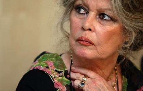 Brigitte Bardot-t végre kiengedték a kórház falai közül.