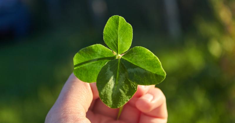 Október újholdja varázslatos energiákat hoz magával, és öt csillagjegy különösen szerencsés időszak elé néz a pénz, a szerelem és a siker terén. Fedezd fel, mely csillagjegyek élvezhetik a csillagok kedvező állását ebben a mágikus hónapban, és hogyan form