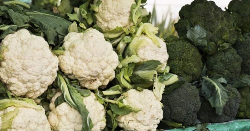 Magas a vércukorszinted? Fedezd fel ezeket a zöldségeket, amelyek segíthetnek a problémád kezelésében!